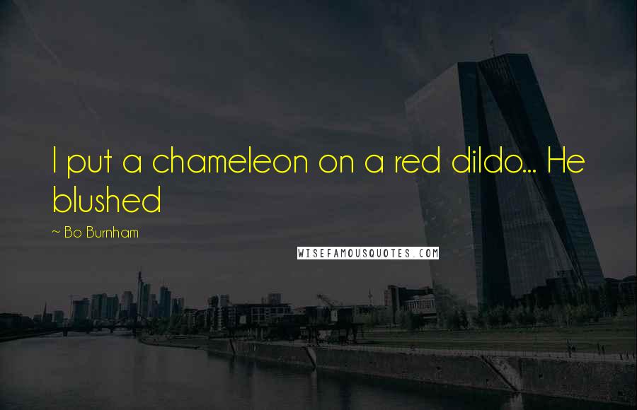 Bo Burnham Quotes: I put a chameleon on a red dildo... He blushed