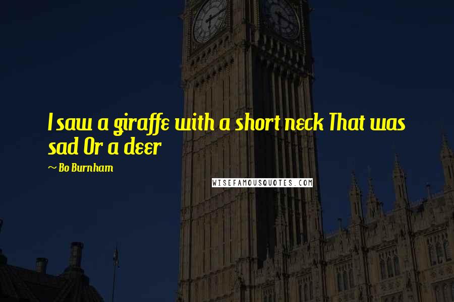 Bo Burnham Quotes: I saw a giraffe with a short neck That was sad Or a deer