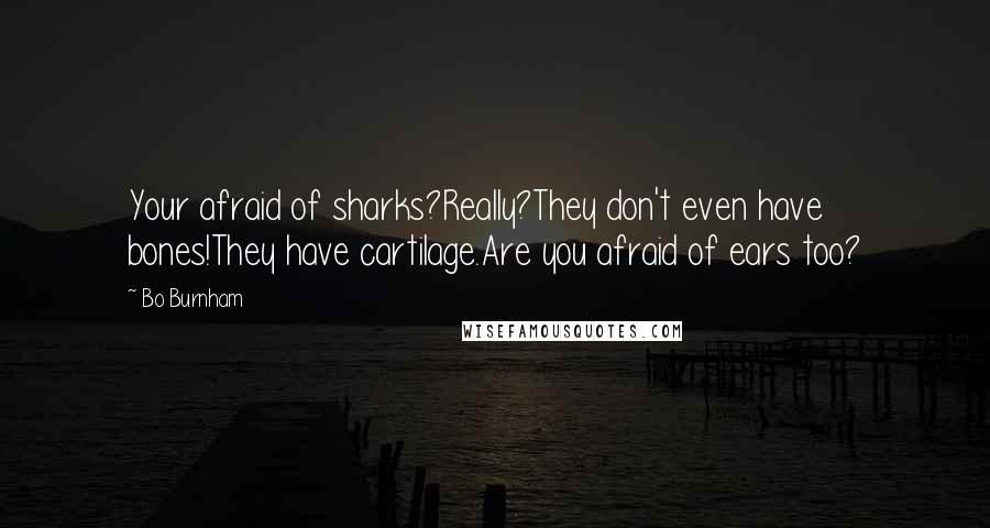 Bo Burnham Quotes: Your afraid of sharks?Really?They don't even have bones!They have cartilage.Are you afraid of ears too?