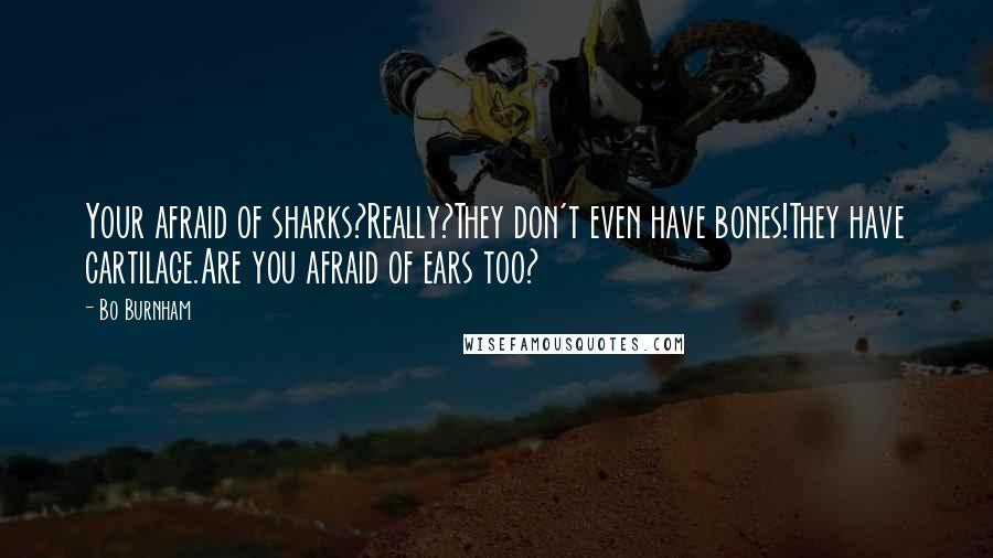 Bo Burnham Quotes: Your afraid of sharks?Really?They don't even have bones!They have cartilage.Are you afraid of ears too?