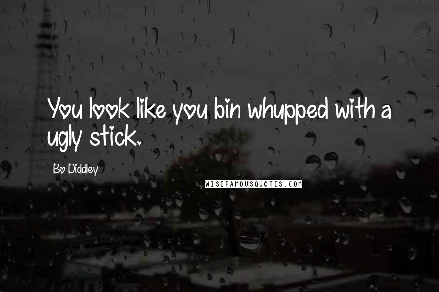 Bo Diddley Quotes: You look like you bin whupped with a ugly stick.