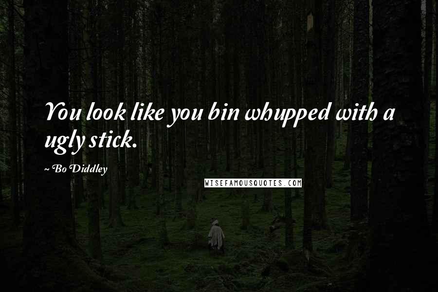 Bo Diddley Quotes: You look like you bin whupped with a ugly stick.