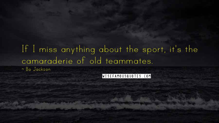 Bo Jackson Quotes: If I miss anything about the sport, it's the camaraderie of old teammates.