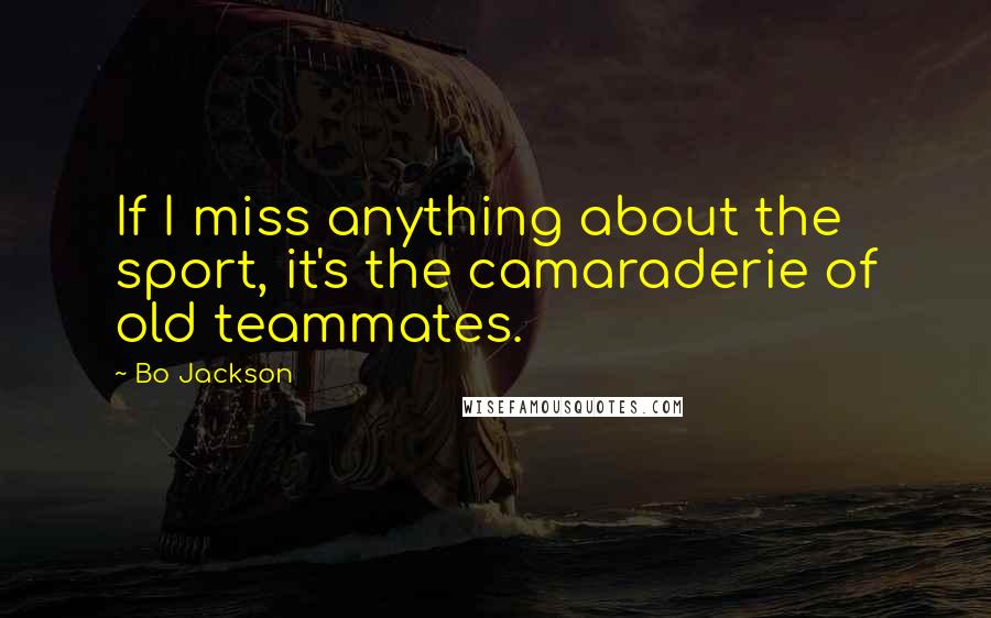 Bo Jackson Quotes: If I miss anything about the sport, it's the camaraderie of old teammates.