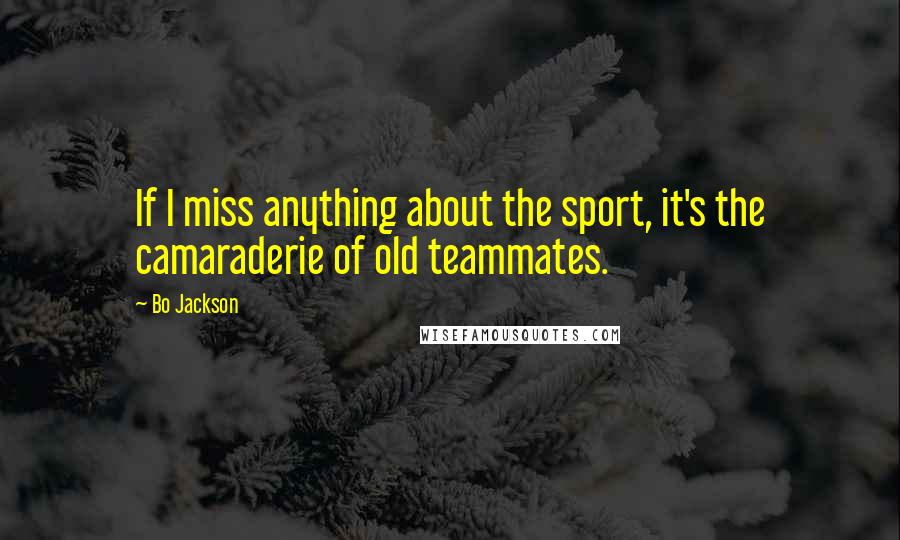 Bo Jackson Quotes: If I miss anything about the sport, it's the camaraderie of old teammates.