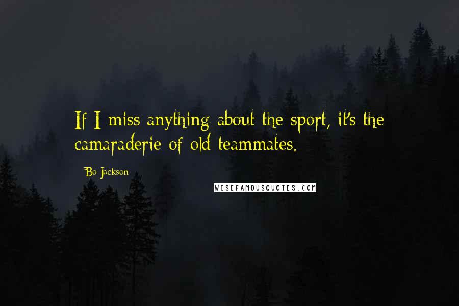 Bo Jackson Quotes: If I miss anything about the sport, it's the camaraderie of old teammates.