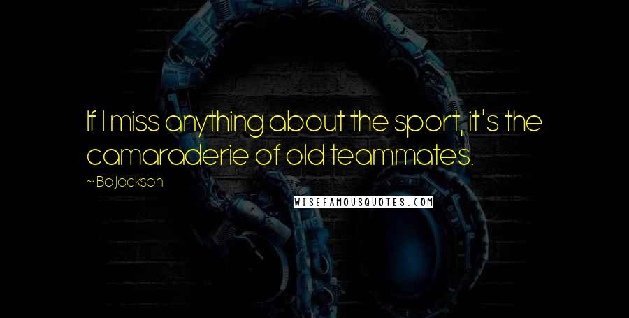 Bo Jackson Quotes: If I miss anything about the sport, it's the camaraderie of old teammates.