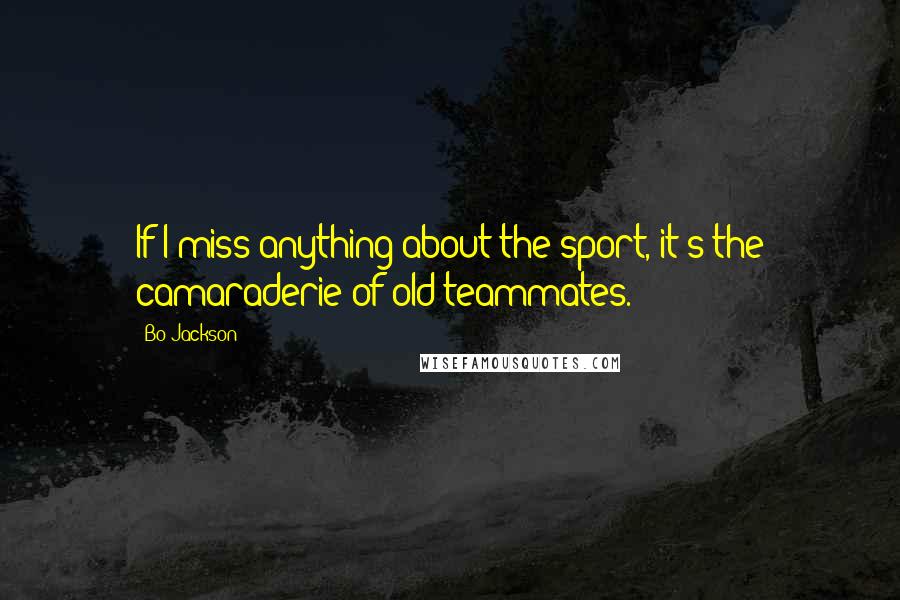 Bo Jackson Quotes: If I miss anything about the sport, it's the camaraderie of old teammates.