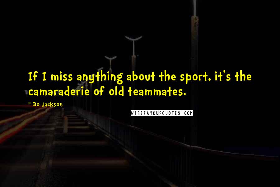 Bo Jackson Quotes: If I miss anything about the sport, it's the camaraderie of old teammates.