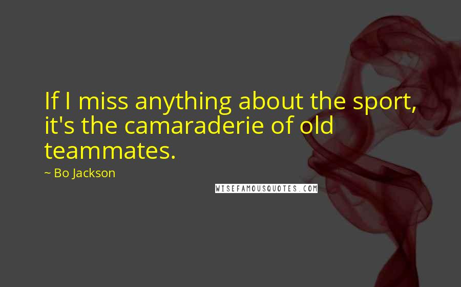 Bo Jackson Quotes: If I miss anything about the sport, it's the camaraderie of old teammates.