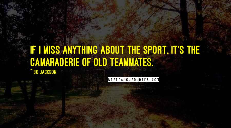 Bo Jackson Quotes: If I miss anything about the sport, it's the camaraderie of old teammates.