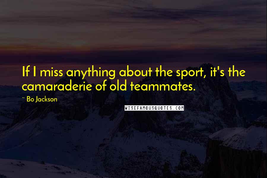 Bo Jackson Quotes: If I miss anything about the sport, it's the camaraderie of old teammates.