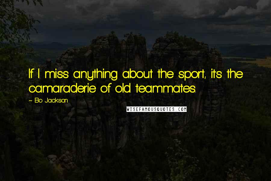 Bo Jackson Quotes: If I miss anything about the sport, it's the camaraderie of old teammates.