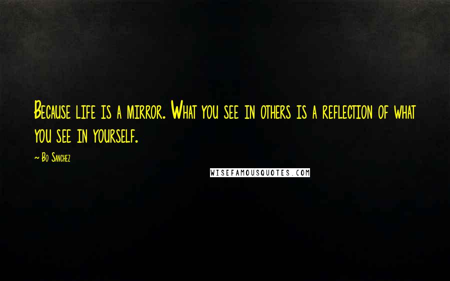 Bo Sanchez Quotes: Because life is a mirror. What you see in others is a reflection of what you see in yourself.