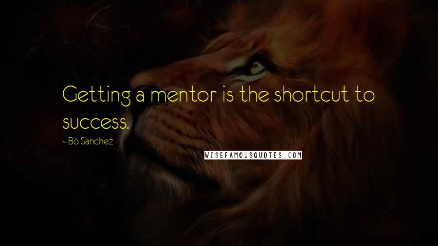 Bo Sanchez Quotes: Getting a mentor is the shortcut to success.