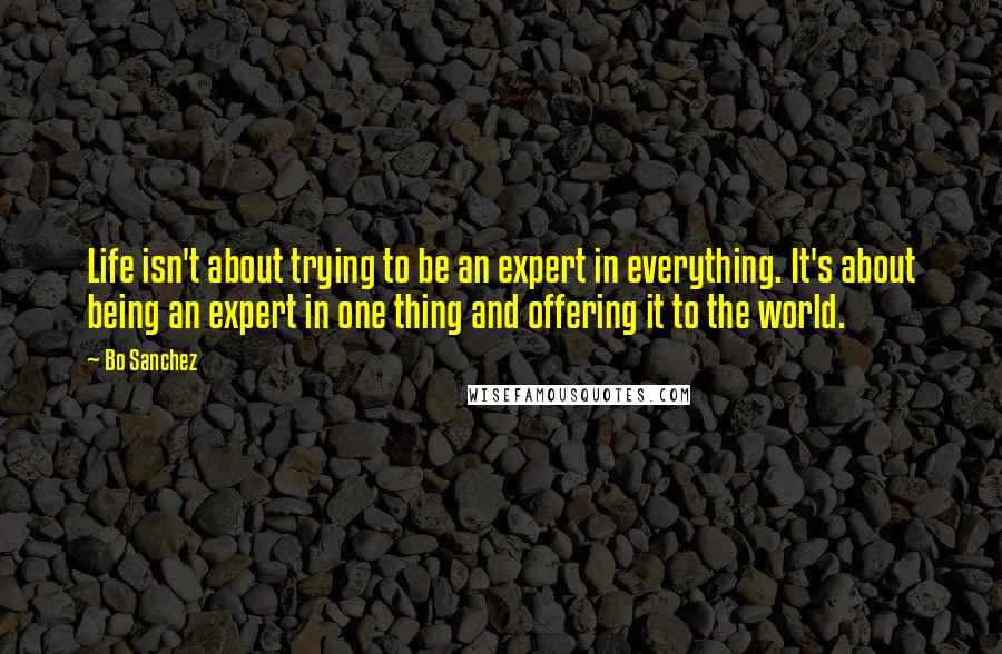 Bo Sanchez Quotes: Life isn't about trying to be an expert in everything. It's about being an expert in one thing and offering it to the world.