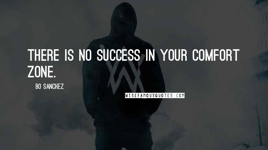 Bo Sanchez Quotes: There is no success in your comfort zone.