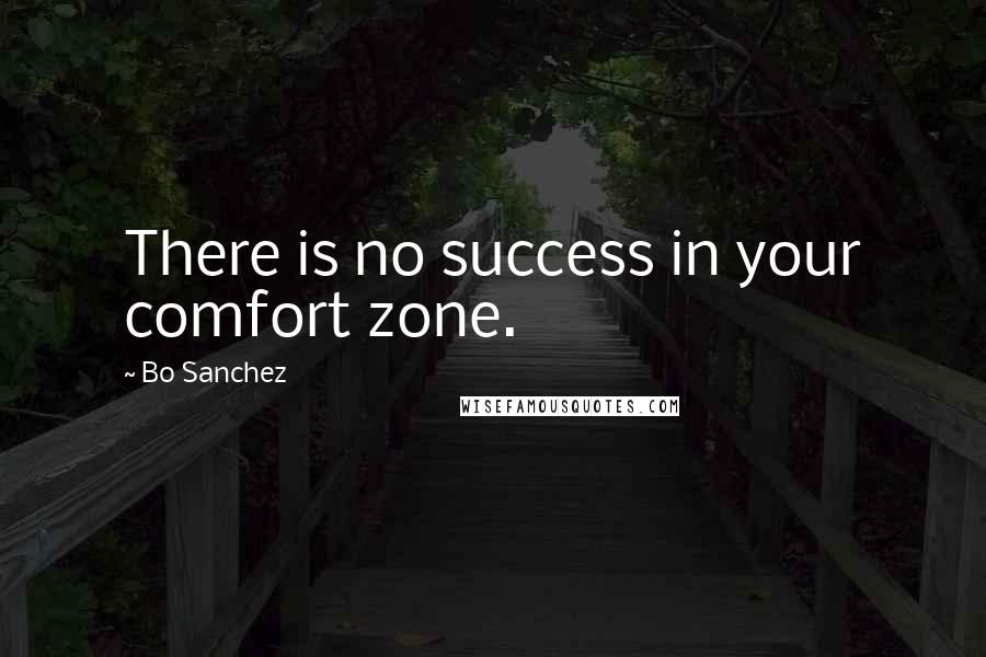 Bo Sanchez Quotes: There is no success in your comfort zone.