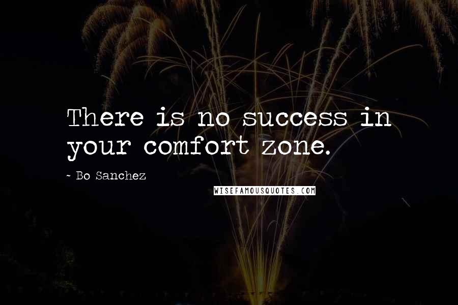 Bo Sanchez Quotes: There is no success in your comfort zone.