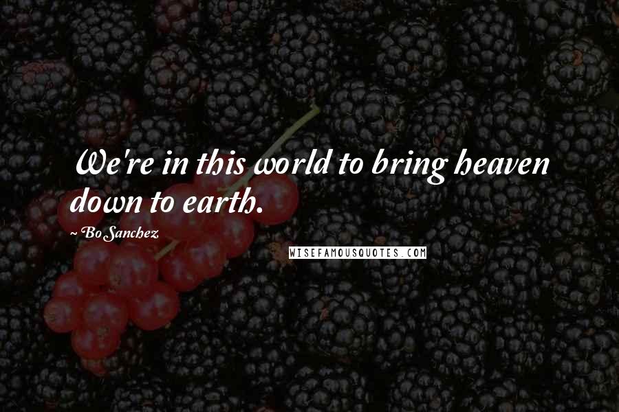 Bo Sanchez Quotes: We're in this world to bring heaven down to earth.