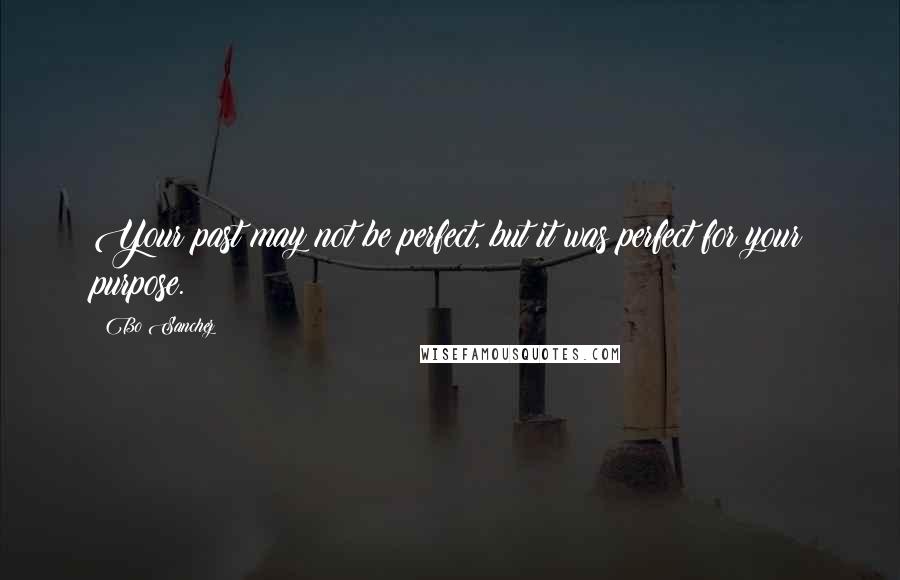Bo Sanchez Quotes: Your past may not be perfect, but it was perfect for your purpose.