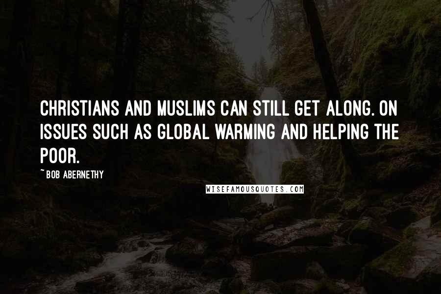 Bob Abernethy Quotes: Christians and Muslims can still get along. On issues such as global warming and helping the poor.