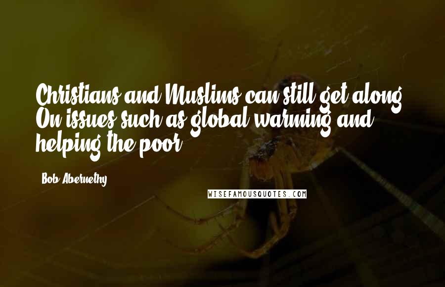 Bob Abernethy Quotes: Christians and Muslims can still get along. On issues such as global warming and helping the poor.