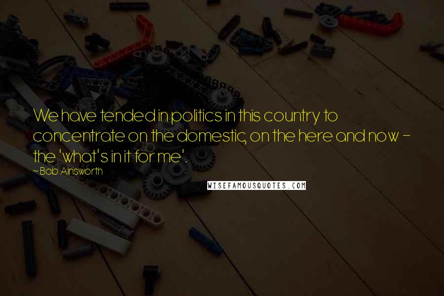 Bob Ainsworth Quotes: We have tended in politics in this country to concentrate on the domestic, on the here and now - the 'what's in it for me'.