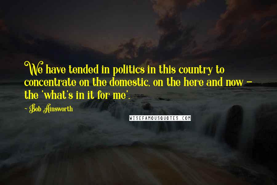 Bob Ainsworth Quotes: We have tended in politics in this country to concentrate on the domestic, on the here and now - the 'what's in it for me'.