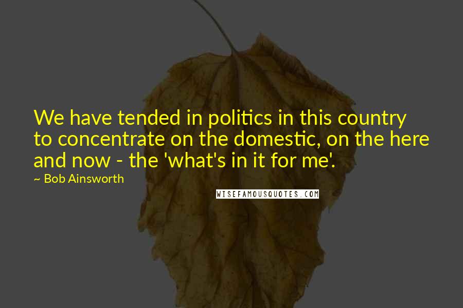 Bob Ainsworth Quotes: We have tended in politics in this country to concentrate on the domestic, on the here and now - the 'what's in it for me'.