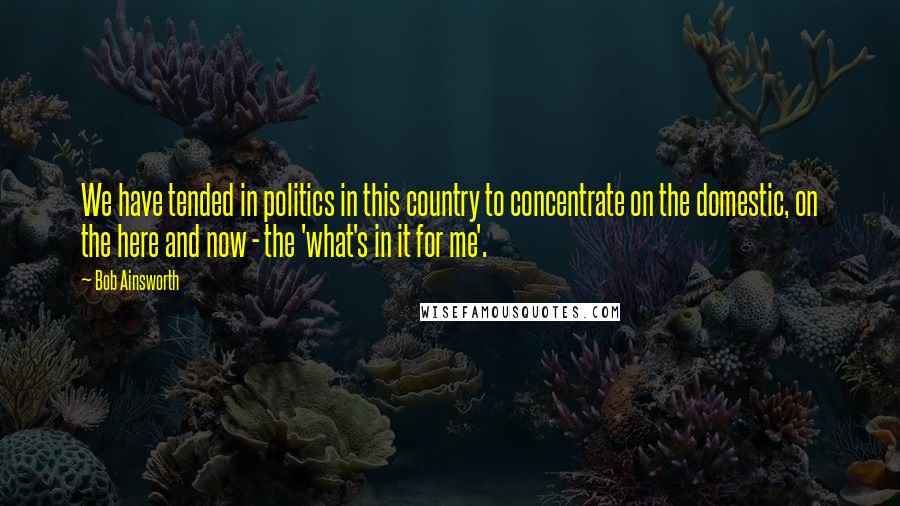 Bob Ainsworth Quotes: We have tended in politics in this country to concentrate on the domestic, on the here and now - the 'what's in it for me'.