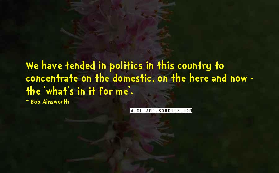 Bob Ainsworth Quotes: We have tended in politics in this country to concentrate on the domestic, on the here and now - the 'what's in it for me'.