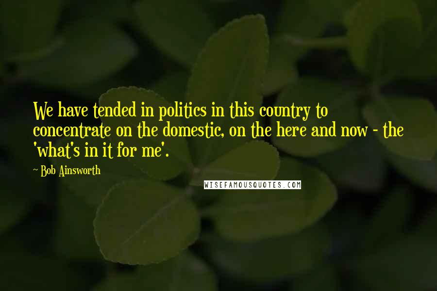 Bob Ainsworth Quotes: We have tended in politics in this country to concentrate on the domestic, on the here and now - the 'what's in it for me'.