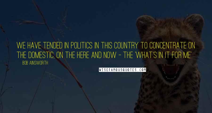 Bob Ainsworth Quotes: We have tended in politics in this country to concentrate on the domestic, on the here and now - the 'what's in it for me'.