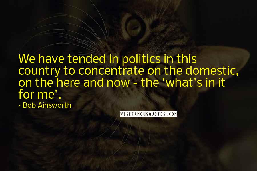 Bob Ainsworth Quotes: We have tended in politics in this country to concentrate on the domestic, on the here and now - the 'what's in it for me'.