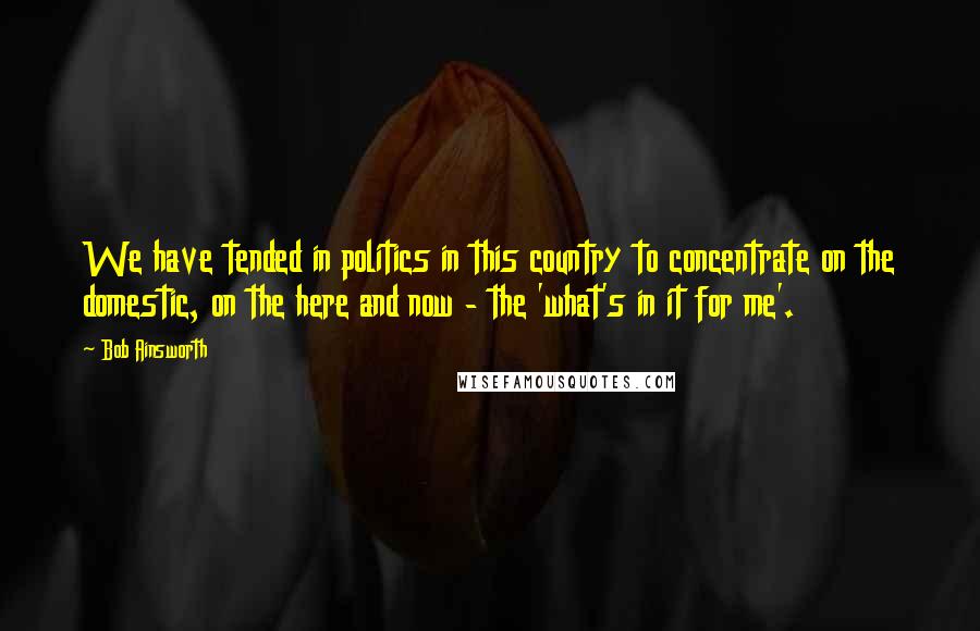 Bob Ainsworth Quotes: We have tended in politics in this country to concentrate on the domestic, on the here and now - the 'what's in it for me'.