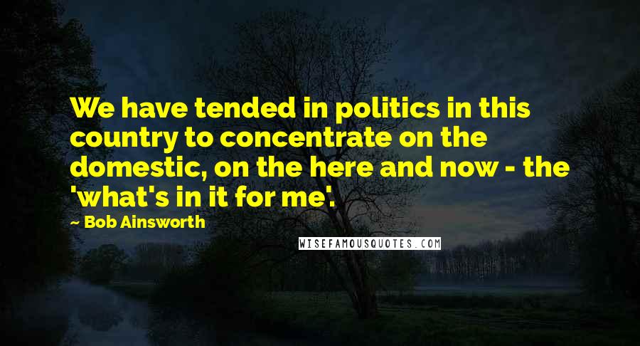 Bob Ainsworth Quotes: We have tended in politics in this country to concentrate on the domestic, on the here and now - the 'what's in it for me'.