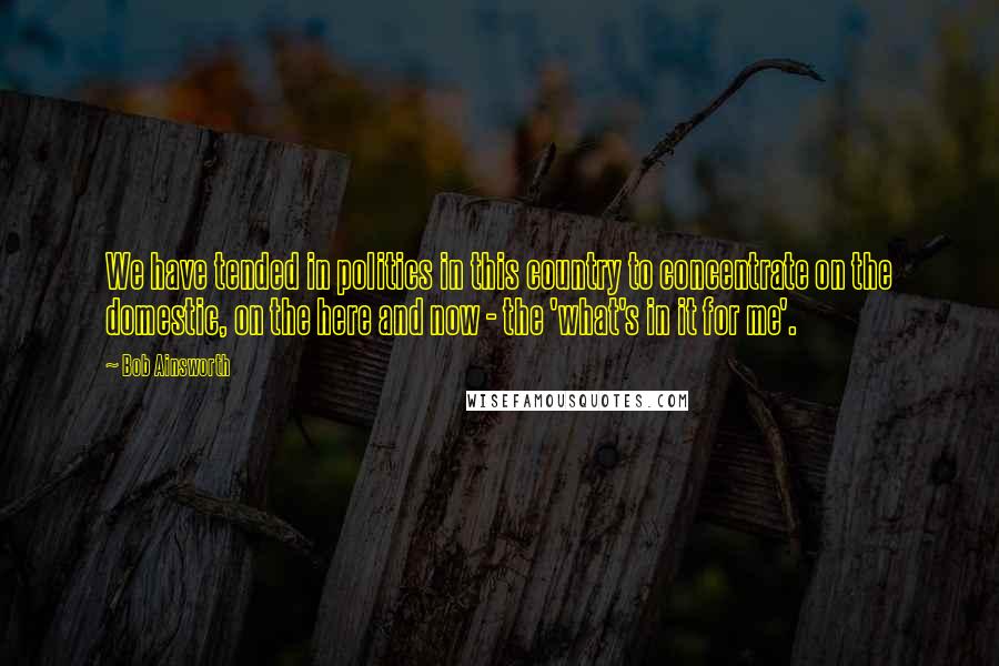 Bob Ainsworth Quotes: We have tended in politics in this country to concentrate on the domestic, on the here and now - the 'what's in it for me'.