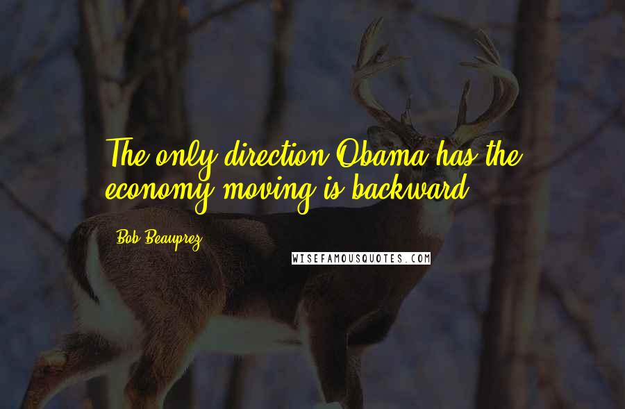 Bob Beauprez Quotes: The only direction Obama has the economy moving is backward.