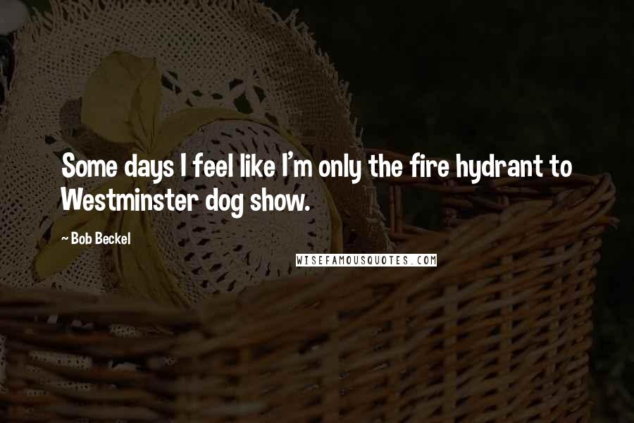 Bob Beckel Quotes: Some days I feel like I'm only the fire hydrant to Westminster dog show.