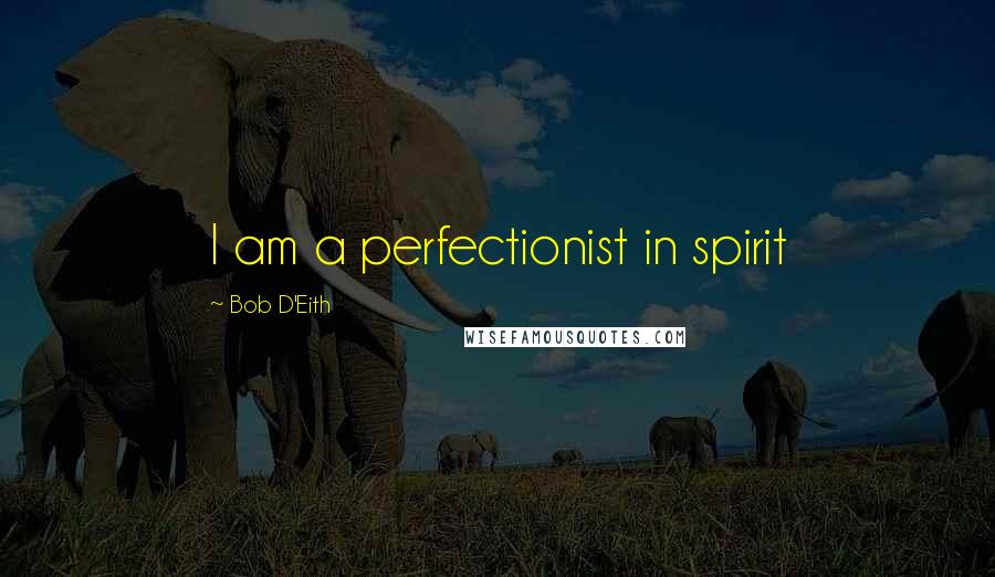 Bob D'Eith Quotes: I am a perfectionist in spirit