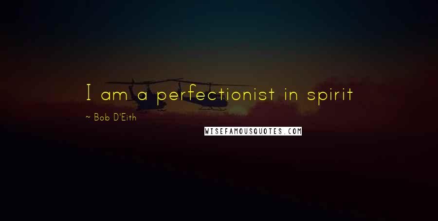 Bob D'Eith Quotes: I am a perfectionist in spirit