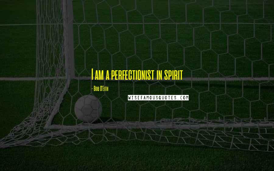 Bob D'Eith Quotes: I am a perfectionist in spirit