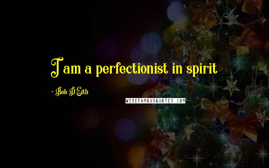 Bob D'Eith Quotes: I am a perfectionist in spirit