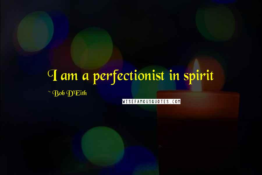 Bob D'Eith Quotes: I am a perfectionist in spirit