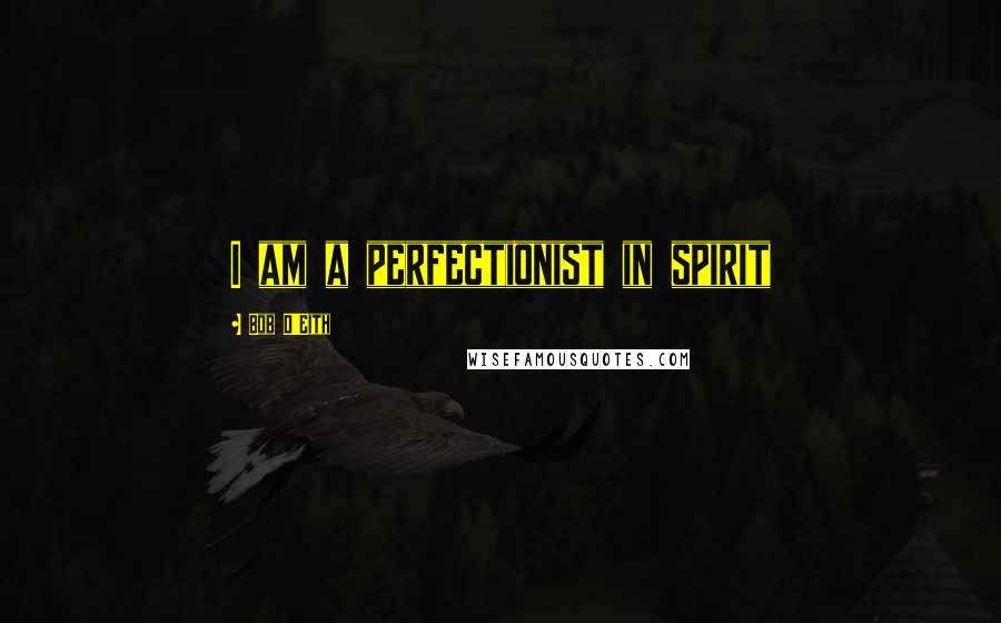 Bob D'Eith Quotes: I am a perfectionist in spirit