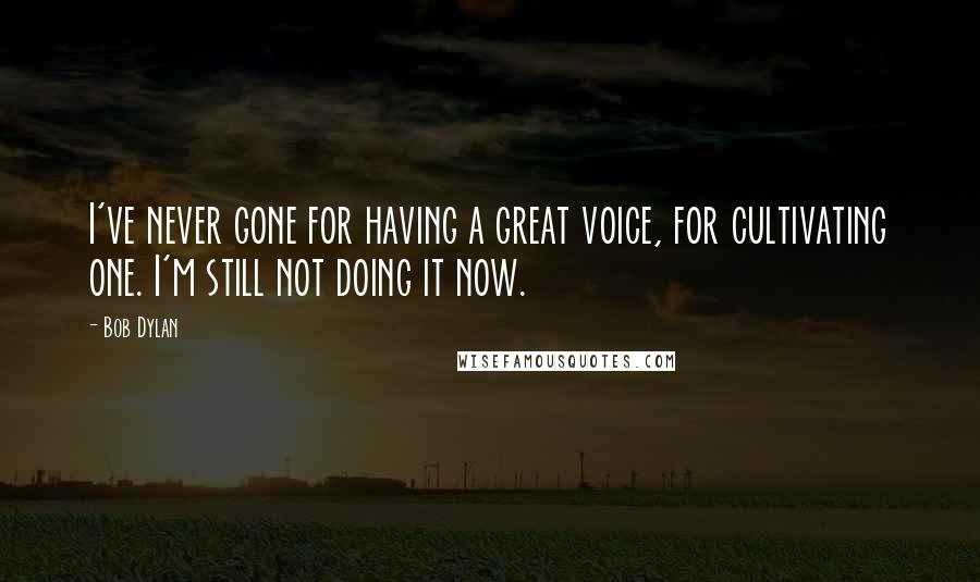 Bob Dylan Quotes: I've never gone for having a great voice, for cultivating one. I'm still not doing it now.