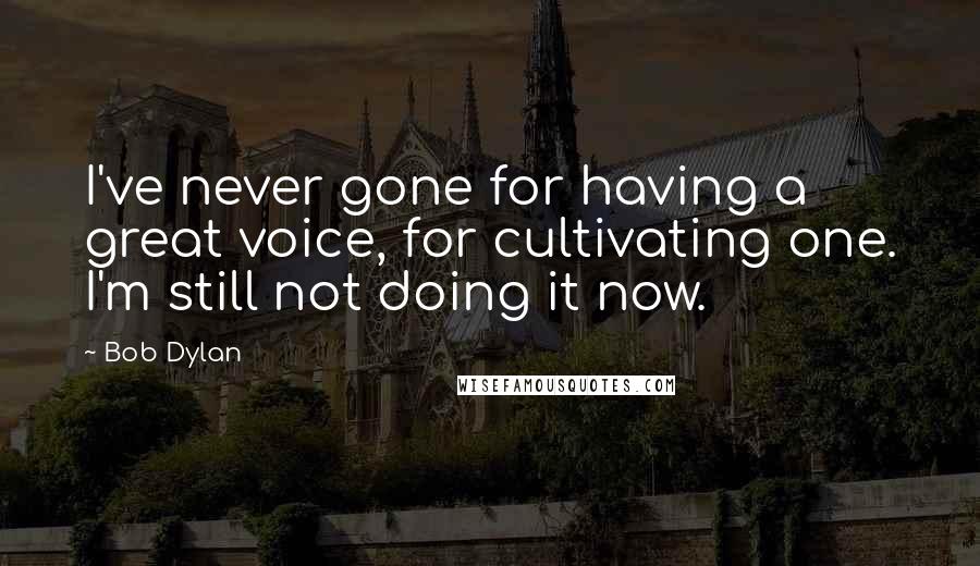 Bob Dylan Quotes: I've never gone for having a great voice, for cultivating one. I'm still not doing it now.