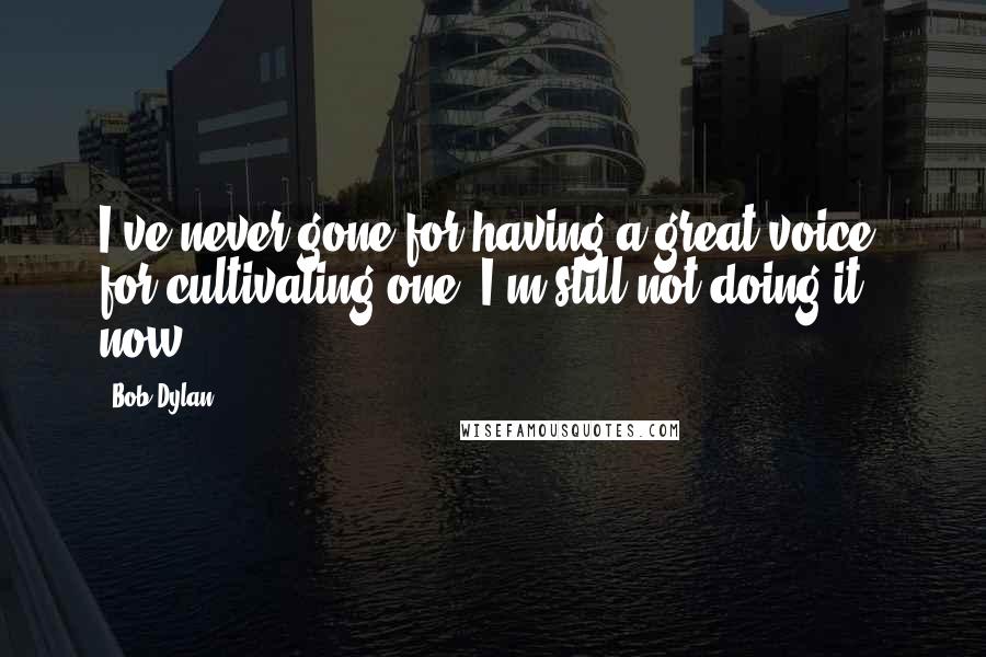 Bob Dylan Quotes: I've never gone for having a great voice, for cultivating one. I'm still not doing it now.