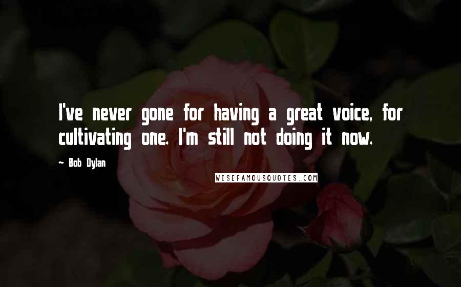 Bob Dylan Quotes: I've never gone for having a great voice, for cultivating one. I'm still not doing it now.